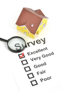 easy to read property surveys Essex